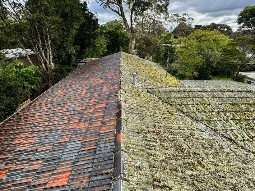 Old terracotta tile roof covered in moss